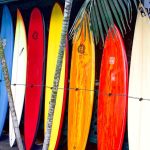 Quem deseja comprar uma prancha de surf nova deve sempre se atentar aos materiais usados na fabricação, preço e necessidade de uso