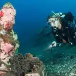Mergulhadora com equipamento completo e lanterna explorando uma estátua submersa coberta por corais no fundo do mar.