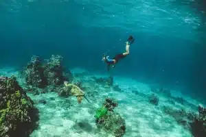Pessoa praticando apneia e nadando com tartaruga-marinha em recife de corais no fundo do oceano